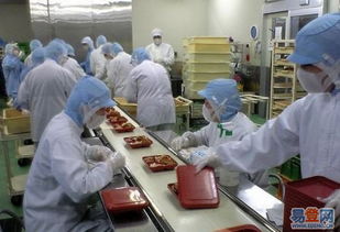 广州餐饮设备升级的选择 揭秘健康高效的食品生产线精髓